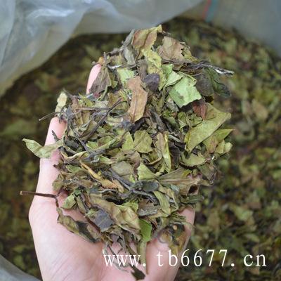 白牡丹茶的产地在哪里,为什么老白茶最适合煮着喝？,白牡丹茶的产地在哪里