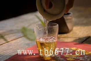 白茶冲泡方法