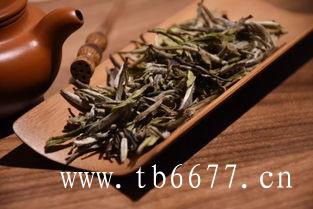老白茶的冲泡方法