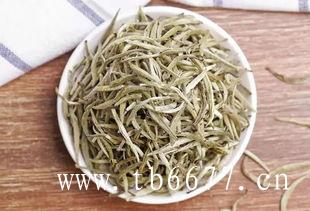 白牡丹茶的功效,（今早茶农从安吉九龙峡米高山采摘的鲜叶）