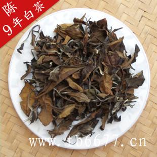 老白茶怎样冲泡？