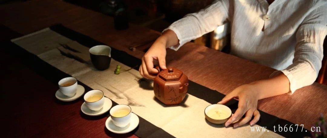 福鼎白茶的制作工艺