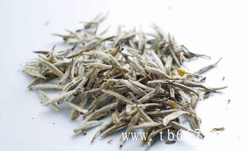 福鼎白茶春茶上市时间是在春分
