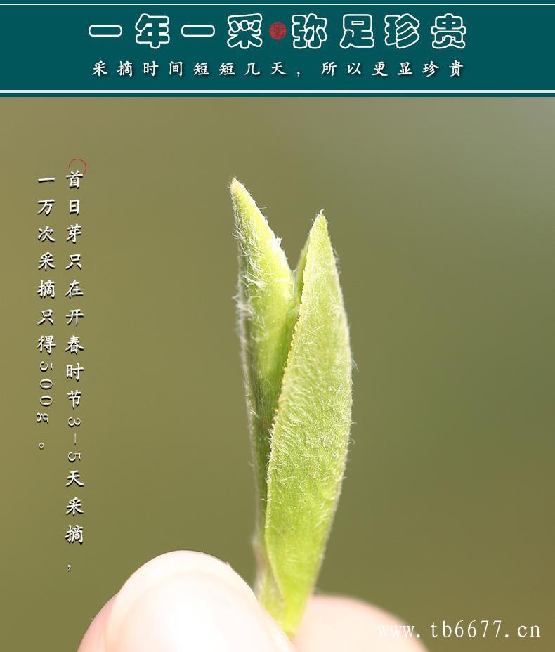 年份白茶与epsf类成分保健功能研究进展