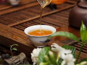 普洱白茶与福鼎白茶有什么区别