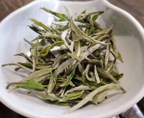 
喝白茶，为什么不宜牛饮，而要细啜？
