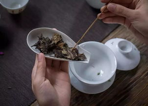 
煮老白茶