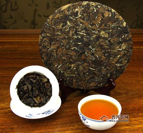 白毫银针和老白茶用什么紫砂壶泡