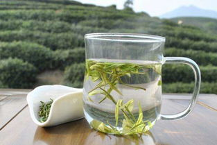 福鼎白茶冲泡时要洗茶吗