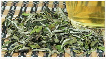 福鼎白茶跟普洱有什么区别