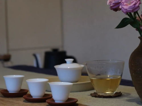 为什么要喝福鼎白茶