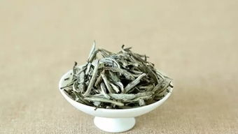 白茶产地在哪里