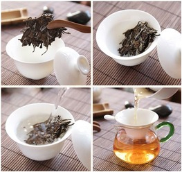 最好的福鼎白茶多少钱一斤