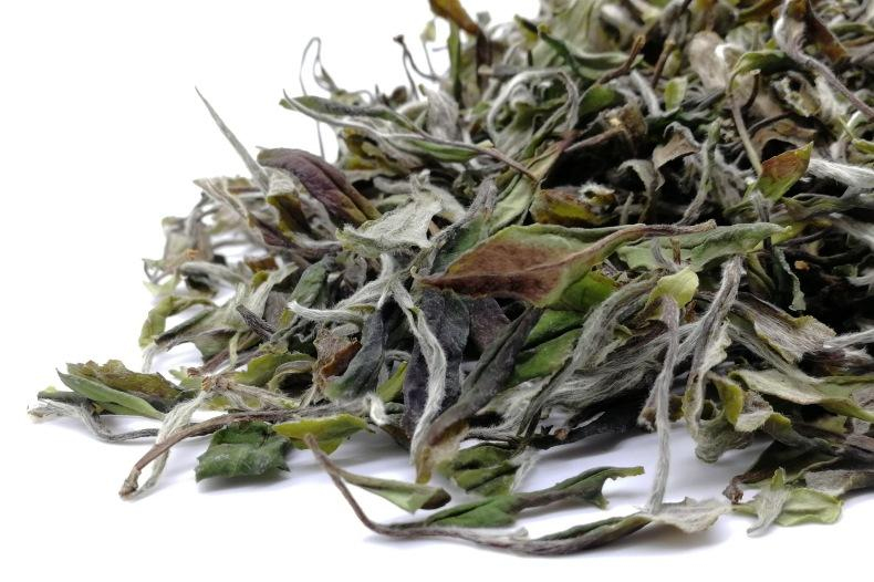 福鼎白茶用多少度的水最好