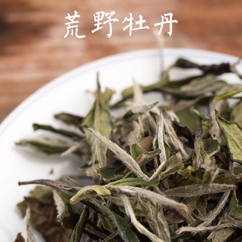 白茶银针新鲜好还是放久好头采