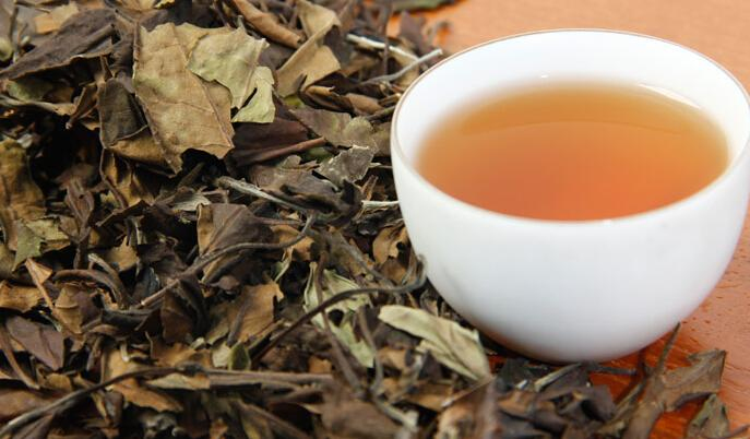 白茶采摘工艺