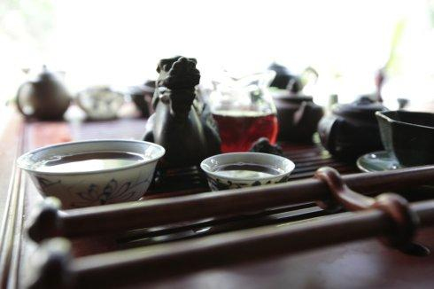 福鼎怎么看白茶好不好