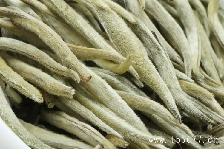 紫砂壶冲泡白茶的方式
