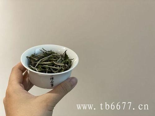 白茶的冲泡流程