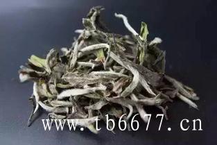 福鼎白茶茶饼的价格多少