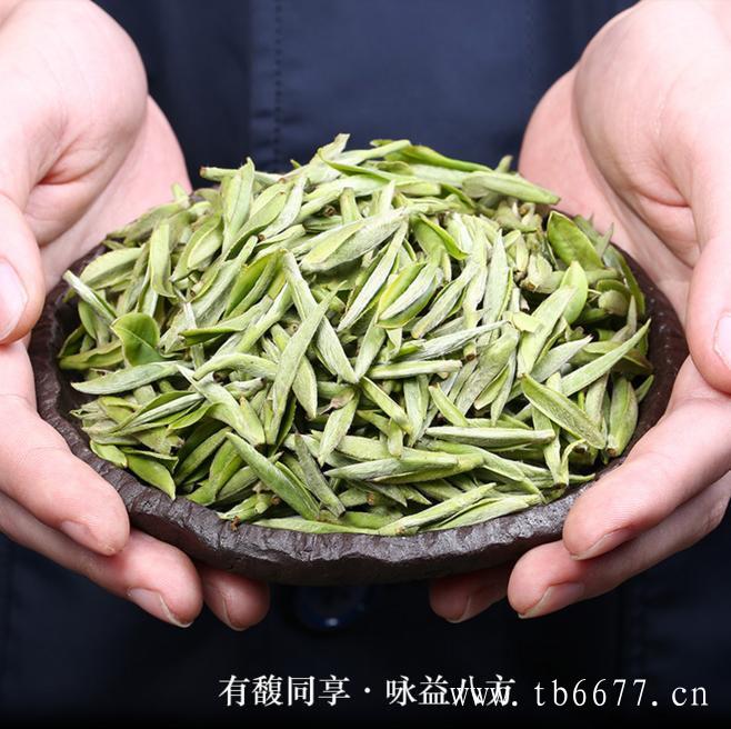 白茶的冲泡器具