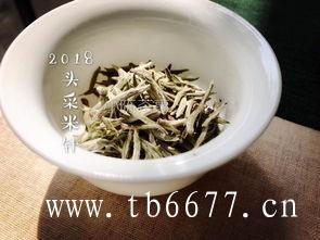 喝白茶的禁忌