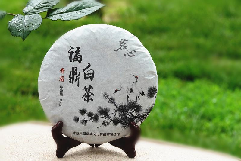 福建白茶