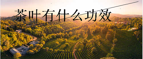 茶叶有什么功效