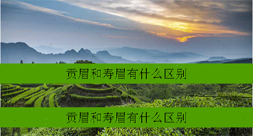 贡眉和寿眉有什么区别