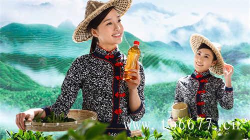 白茶新茶好还是老茶好